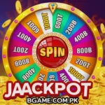 Spin Casino Game
