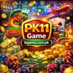 PK11 Game App